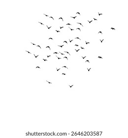 This vector set features a flock of flying bird silhouettes against a clean white background, ideal for tattoos or nature-inspired artwork. The collection gracefully captures the beauty, motion, and f