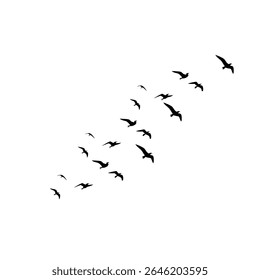 This vector set features a flock of flying bird silhouettes against a clean white background, ideal for tattoos or nature-inspired artwork. The collection gracefully captures the beauty, motion, and f