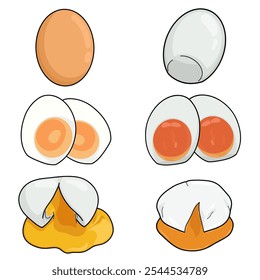 This vector shows boiled eggs on a white background. Some eggs are whole, while others are sliced, showing bright yellow yolks. The clean design makes the eggs look fresh and simple.