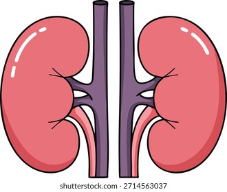 Este Vector muestra los riñones humanos con arterias y venas renales detalladas, destacando las características anatómicas para uso educativo en campos médicos y de salud. Informativo y claro.