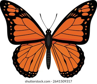 This vector shows a monarch butterfly with vivid orange and black wings. The symmetrical pattern highlights the insects natural beauty in a clear, bright style. Calm mood.