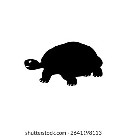 This vector shows a tortoise walking ahead. The tortoise moves slow and steady. The turtle is similar but often swims. Both tortoise and turtle have shells. This tortoise silhouette is clear and bold.