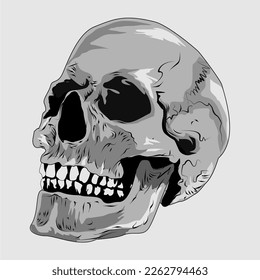 This is a vector-based work, about a human skull. This vector can be used for screen printing businesses, or as logo material, and so on.