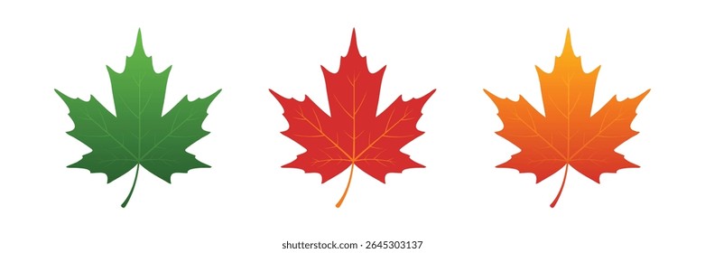this versatile vector EPS featuring maple leaves in vibrant green, classic red, and warm orange. Ideal for autumn themes, Canadian pride, and seasonal projects.