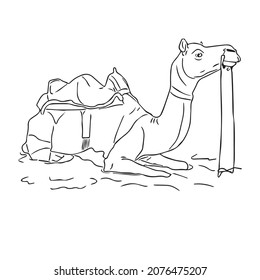 this is a very beautiful Camel  vector line art drawing,outline drawing illustrations