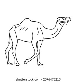 das ist eine sehr schöne Camel Vektorgrafik-Zeichnung, Skizzierillustrationen