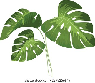 
this is a very beautiful flower to be made into a background or wall painting