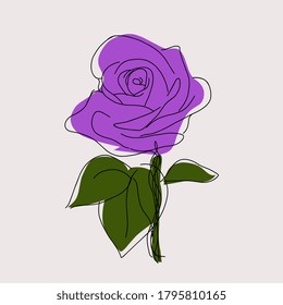 this is a very beautiful purple flower vector illustration