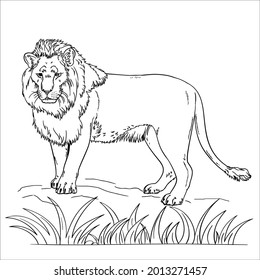 This is very simple line art lion image
