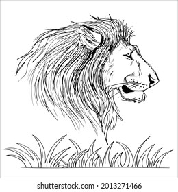 This is very simple line art lion image