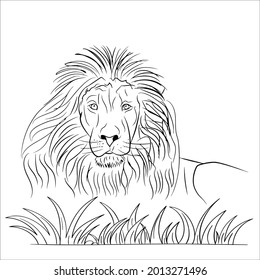 This is very simple line art lion image