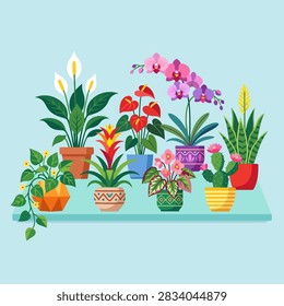 This vibrant illustration features a diverse assortment of indoor plants arranged neatly on a flat surface. Each plant is housed in a uniquely patterned or solid-colored ceramic pot, showcasing a variety of leaf shapes, textures and blooming flowers in shades of red, pink, white and yellow. The composition is clean and modern, set against a soft light blue background that emphasizes the bright, saturated colors of the botanical elements