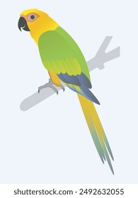 This vibrant jenday conure vector showcases a colorful parrot perched gracefully on a branch.