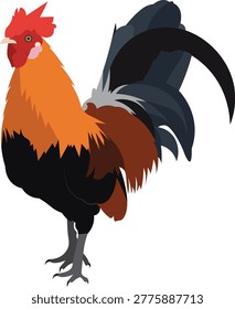 This vibrant rooster color design showcases a beautifully detailed and lively illustration of a rooster, featuring rich and eye-catching colors. The artwork captures the proud stance and natural elegance of the rooster, symbolizing energy, confidence, and rural life. With its dynamic color palette and balanced composition, this design is perfect for logos, branding, t-shirt prints, stickers, posters, and a wide range of creative projects. The high-quality vector style ensures easy scalability and excellent results in both digital and print media.