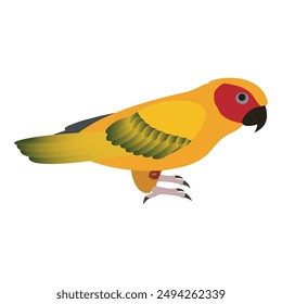 This vibrant SunConure features a striking combination of yellow and red feathers, complemented by a bright red beak. 