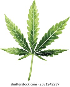 This Watercolor vector illustrations Cannabis Leaf Art can be used for various Creative Designs and projects