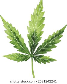 This Watercolor vector illustrations Cannabis Leaf Art can be used for various Creative Designs and projects