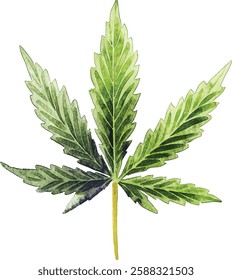 This Watercolor vector illustrations Cannabis Leaf Art can be used for various Creative Designs and projects
