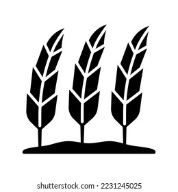 this is a wheat icon
icon with glyph and pixel perfect style
this is one of the icons from the icon sets with Agriculture theme