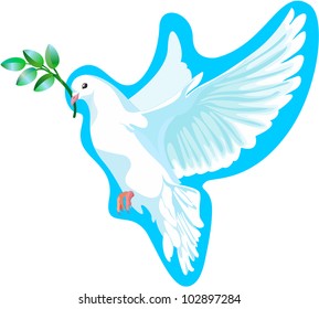 This is a white dove of peace, it is keeping the a green branch