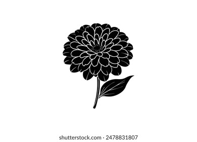 This Zinia vector artwork illustration captures the vibrant beauty of the flower in stunning detail. 