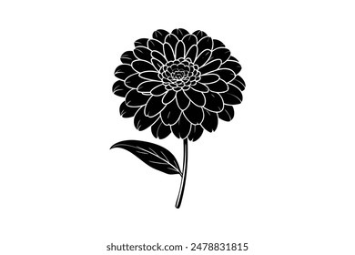 This Zinia vector artwork illustration captures the vibrant beauty of the flower in stunning detail. 