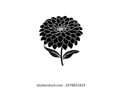 This Zinia vector artwork illustration captures the vibrant beauty of the flower in stunning detail. 