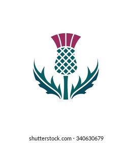 Thistle - floral emblem of Scotland, app symbol, design element, flat design illustration, vector