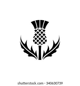 Thistle - floral emblem of Scotland, app symbol, design element, flat design illustration, vector