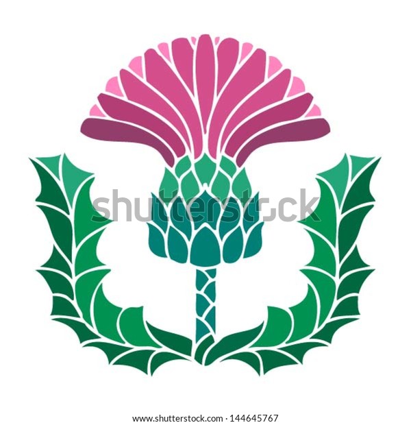 Thistle Floral Emblem Scotland Vector Illustration Stock Vector ...