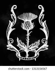 Thistle flower in ornament frame.The Symbol Of Scotland, isolated vector illustration.