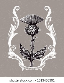 Thistle flower in ornament frame.The Symbol Of Scotland, isolated vector illustration.