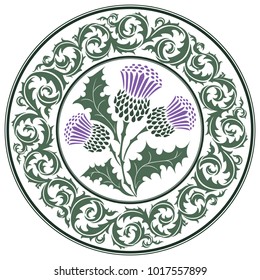 Thistle flower and ornament round leaf thistle. The Symbol Of Scotland, isolated on white, vector illustration