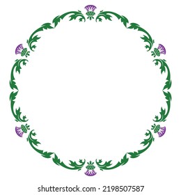 Thistle flower and ornament round leaf thistle. The Symbol Of Scotland, isolated on white, vector illustration