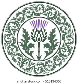 Thistle flower and ornament round leaf thistle. The Symbol Of Scotland, isolated on white, vector illustration