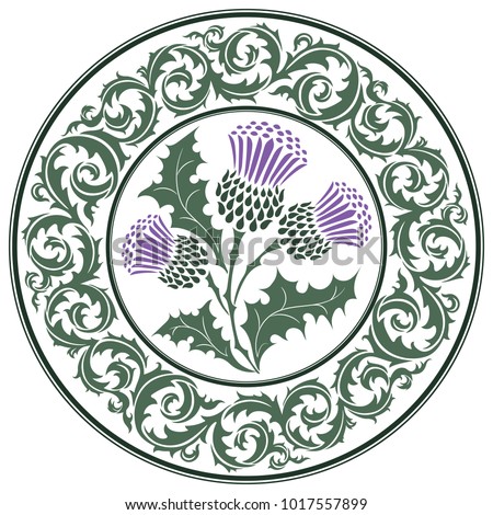 Thistle flower and ornament round leaf thistle. The Symbol Of Scotland, isolated on white, vector illustration