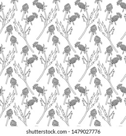 Thistle flower pattern. Thistle ink silhouette plant. Seamless white background for fabric, print