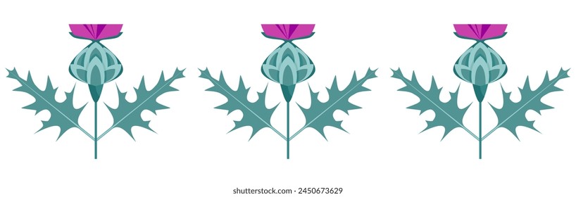 Thistle flowers. Stylized spiny herbaceous plant, seamless horizontal pattern. Lilac and green color vector illustration isolated on white background.