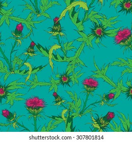 Thistle. Hand drawn vector illustration of a thistle flower and bud with accurate details in realistic style, can be used for wallpaper, pattern fills, web page background,surface textures. Used mask.