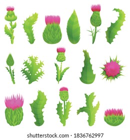 Thistle icons set. Cartoon set of thistle vector icons for web design