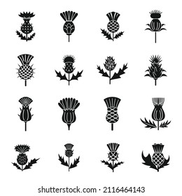 Thistle icons set simple vector. Scottish flower. Blossom plant