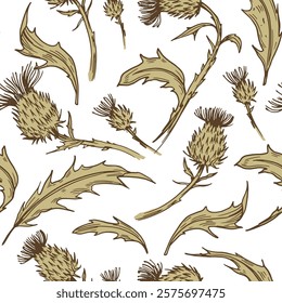 Thistle illustration. Seamless pattern, realistic hand drawn vector sketches