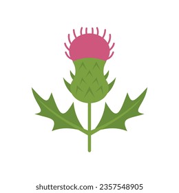 Thistle plant icon flat vector. Milk flower. White burdock isolated