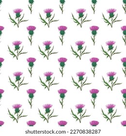 Thistle plant. Seamless pattern. Colorful illustration for fabric, paper design 