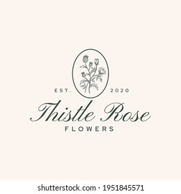 Thistle Rose Flower Logo Vector Template Illustration 