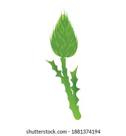 Thistle scotland plant icon. Cartoon of thistle scotland plant vector icon for web design isolated on white background