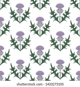 
Thistle seamless pattern. Floral texture on a white background. Hand drawn vector illustration.