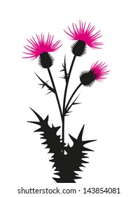 thistle silhouette on a white background