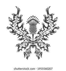 Thistle is the symbol of Scotland. Flower with leaves isolated on a white background. Vector.