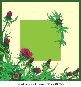 Thistle vector illustration of a thistle flower and bud with accurate details in realistic style. Greeting card can be used as invitation card for wedding,  birthday and other holiday. Used crop.